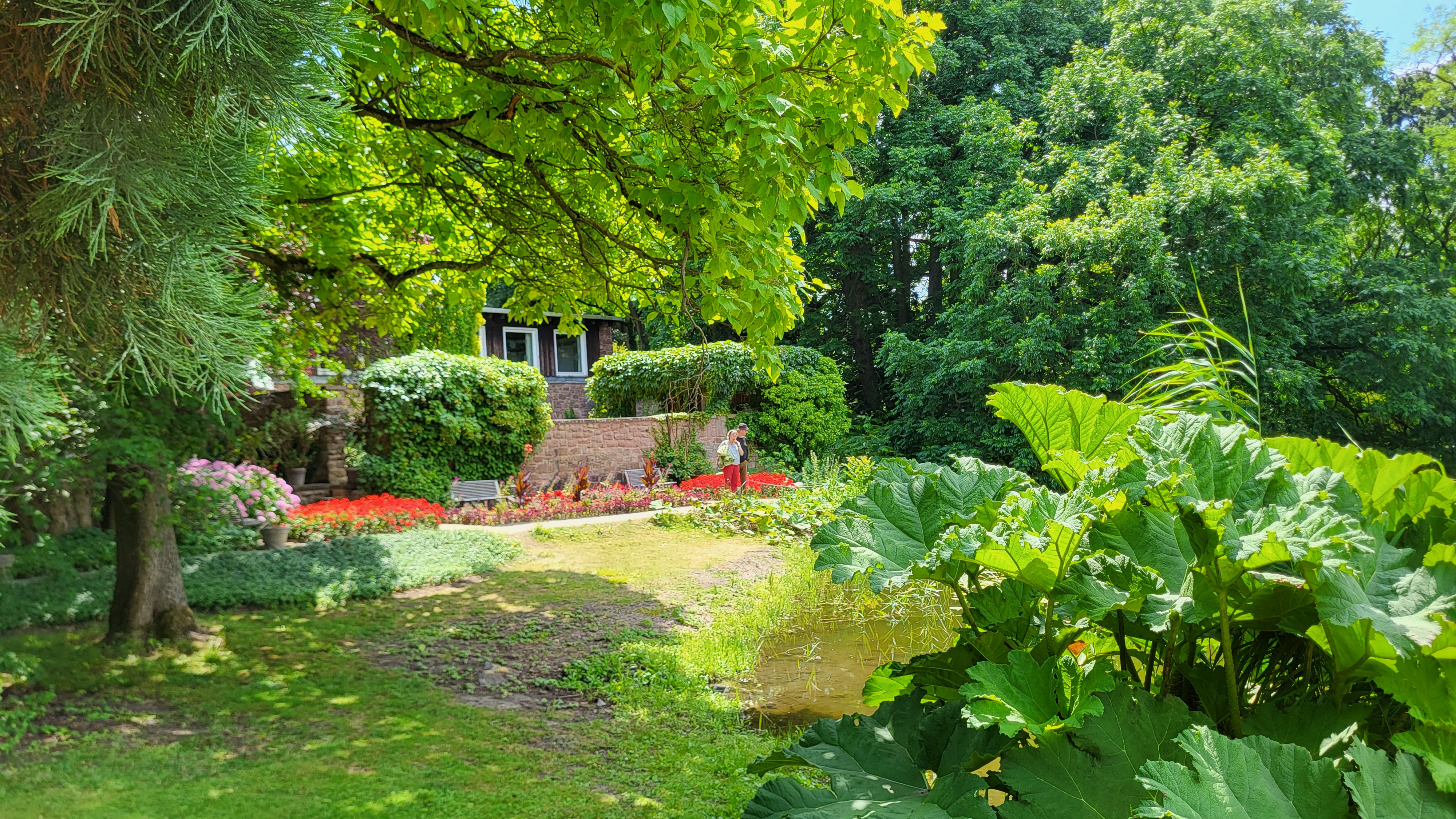 Wild bewachsender Garten mit Teich