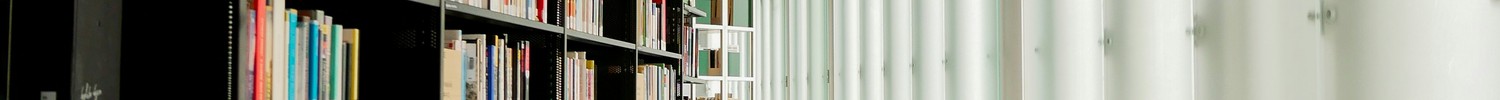 Gang mit Bücherregalen und Glasfront