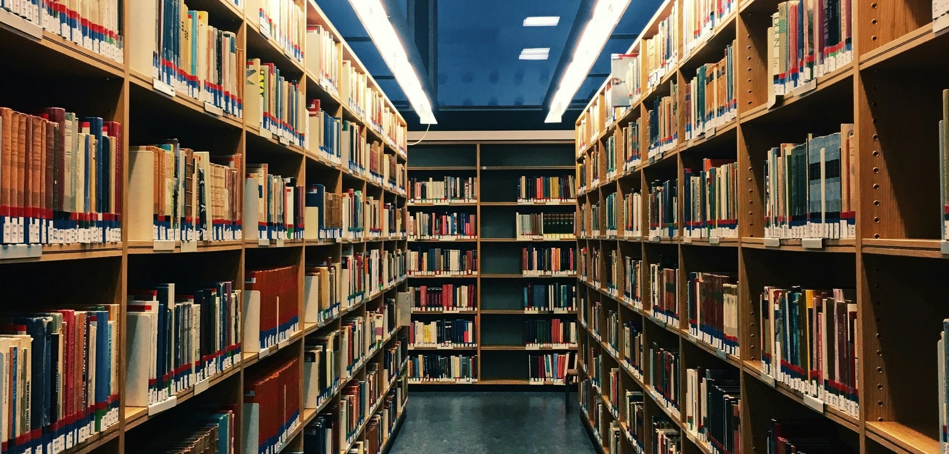 Bibliotheksregale gefüllt mit Büchern