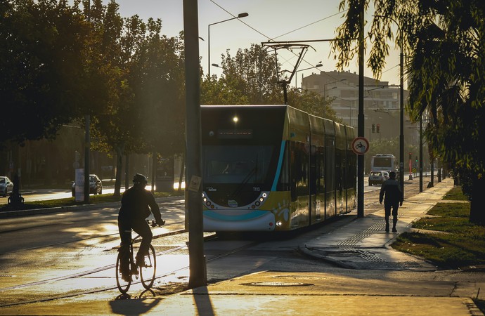 Eine Fahrradstraße inmitten einer Laubbaum-Allee