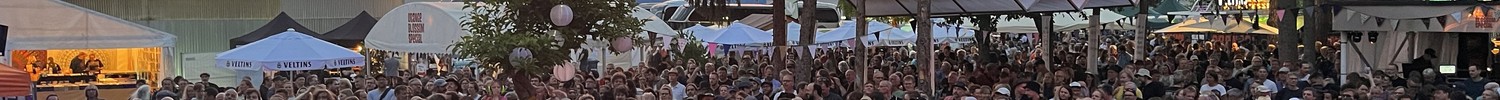 Blick von der Bühne auf ein dicht gefülltes Open-Air-Festival bei Sonnenuntergang: Vor der Bühne steht ein großes Publikum, dahinter Bäume, Zelt