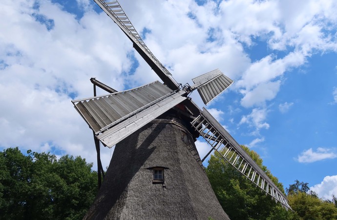 oberer Gebäudeteil und Blätter einer Windmühle