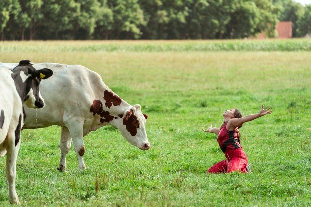 Eine Frau in roter Kleidung ist auf einer Wiese, daneben steht eine Kuh.