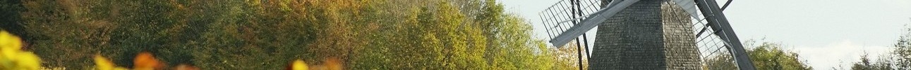 Eine Windmühle in einer herbstlichen Landschaft.