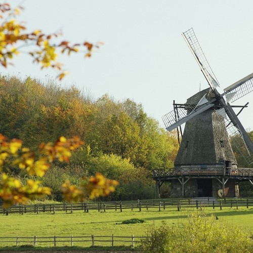 Eine Windmühle in einer herbstlichen Landschaft.