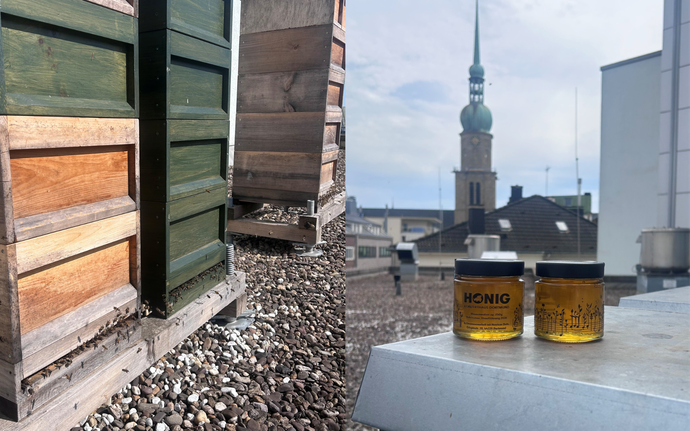Links: Bienenstöcke, Rechts: Honiggläser