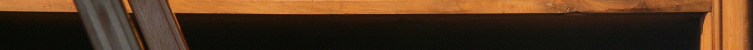 Ein massives Holzregal voller alter in Leder gebundener Bücher. Davor ist im Anschnitt eine Leiter zu sehen, wie sie in alten Bibliotheken genutzt worden sind.