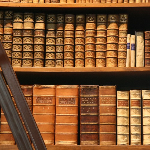 Ein massives Holzregal voller alter in Leder gebundener Bücher. Davor ist im Anschnitt eine Leiter zu sehen.