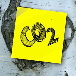 Ein gelber Post-It-Zettel ist an einem Baum befestigt. Darauf stehen die Buchstaben "CO2"