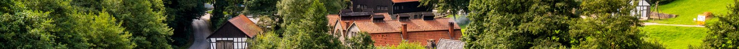 Landschaftsaufnahme des LWL-Freilichtmuseums Hagen. Alte Häuser in einem Tal zwischen Waldhängen und einem See.