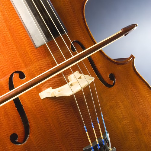 Nahaufnahme eines Cellos. Der Focus liegt auf dem Steg über den die vier Saiten laufen. Zudem liegt  ein Cellobogen im rechten Winkel auf der tiefsten Saite auf.